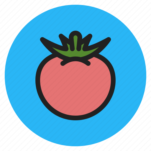 Tomato, fall, fruits, vegetables, berry icon - Download on Iconfinder