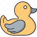 duckling, duck, swimming duck, baby duck, duck toy