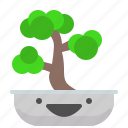 bonsai, old, plant, tree