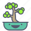 bonsai, old, plant, tree 
