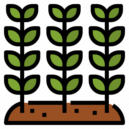 Grow, leaf, nature, plant icon - Download on Iconfinder