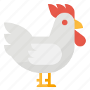 animal, chicken, farm, rooster