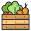 basket, carrot, farm, lettuce, vegetable 