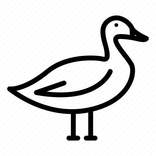 Farm, duck, animal, wild icon - Download on Iconfinder