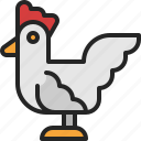 chicken, hen, animal, livestock, poultry, rooster, cock