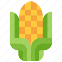 corn, maize, corncob, cereal, harvest, grain, seed