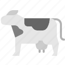 cow, cattle, animal, livestock, farming, milk, bovine