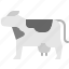 cow, cattle, animal, livestock, farming, milk, bovine 