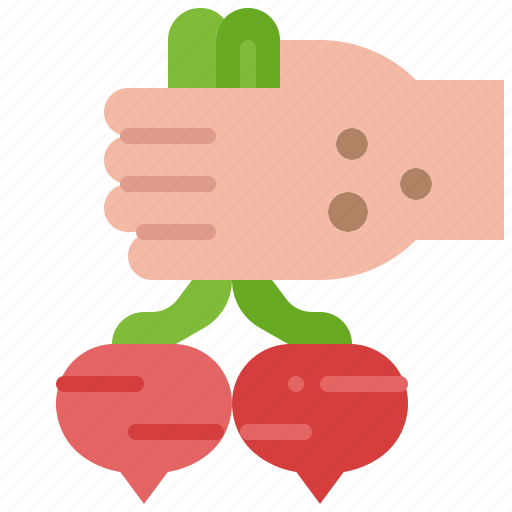 Harvest, beet, radish, vegetable, hand, pull, farming icon - Download on Iconfinder
