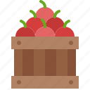 wooden, crate, fruit, harvest, box, delivery, farm