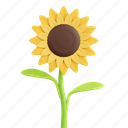 sunflower, plant, floral, blossom, garden, spring 