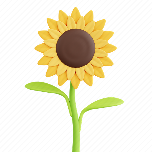 Sunflower, plant, floral, blossom, garden, spring 3D illustration - Download on Iconfinder