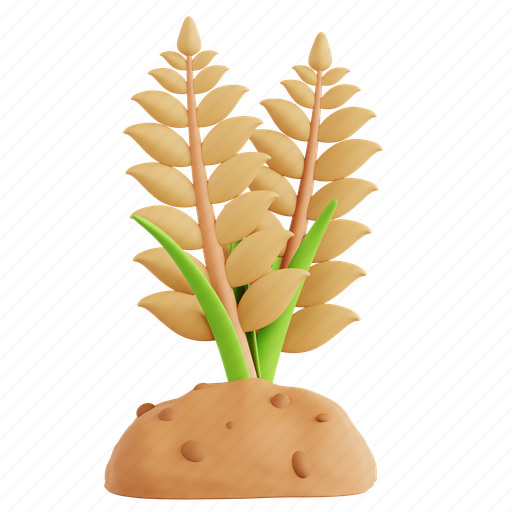 Wheat, farm, garden, agriculture, food 3D illustration - Download on Iconfinder