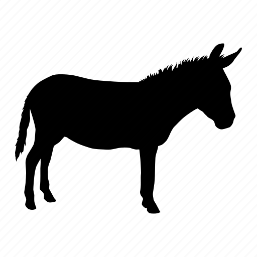 Burro, donkey, mula icon - Download on Iconfinder