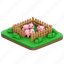 pig, livestock, animal, barn, farm 