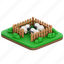 sheep, farm, livestock, barn 
