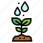 growth, plant, sprout, watering 