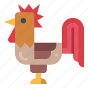 animals, bird, chicken, farm