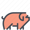 animal, farm, livestock, pig 