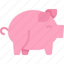 pig, pork, animal, animals, zoo