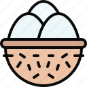 eggs, basket, food, and, restaurant, farming, gardening, farm