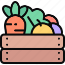 vegetables, vegetable, agriculture, harvest, box