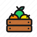 apple, crate, harvest, fruit, mango, farm, agriculture