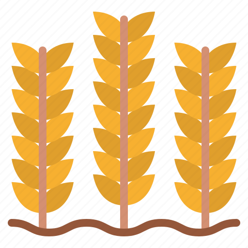 Farming, field, plant, wheat icon - Download on Iconfinder