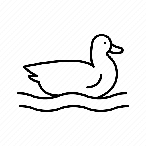 Duck, bathing, animals, bird icon - Download on Iconfinder