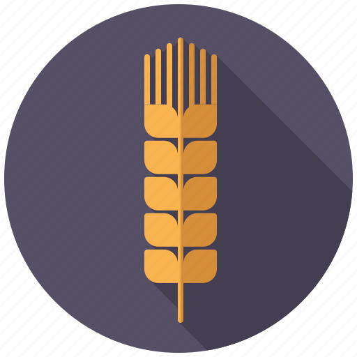 Agriculture, ceral, farm, food, grain, plant, wheat icon - Download on Iconfinder