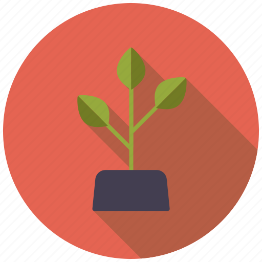 Agriculture, farm, growth, plant, soil icon - Download on Iconfinder