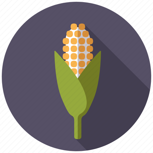 Agriculture, cereal, cob, corn, farm, plant icon - Download on Iconfinder