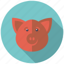 agriculture, animal, cattle, farm, pig, piglet
