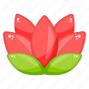 decorative flower, flower, flower design, generic flower, lotus, tropical flower