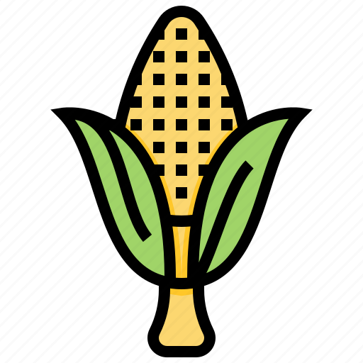 Organic, plant, grilled, vegetable, corn icon - Download on Iconfinder
