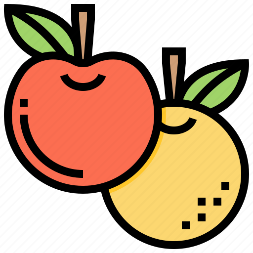 Fruit, vitamin, organic, plant, orange icon - Download on Iconfinder