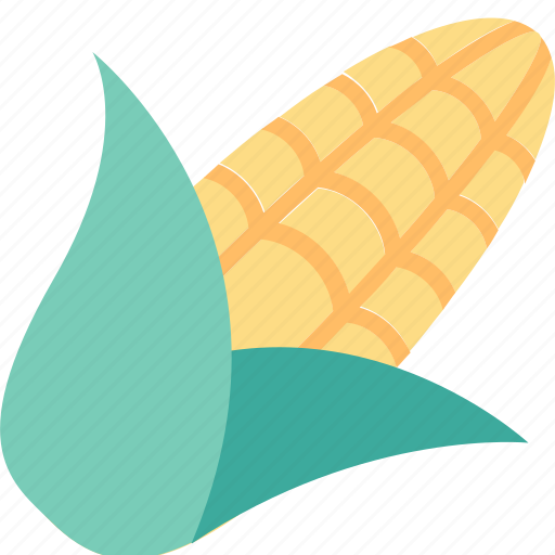Corn, cob, cooking, food, healthy, maize, vegetable icon - Download on Iconfinder