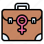 feminism, feminist, rights, business, briefcase, working woman, finance 
