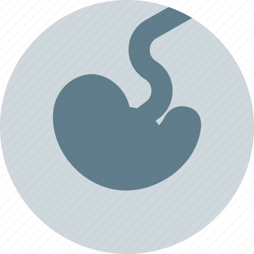 Fetus, medical, fertility pregnancy, baby icon - Download on Iconfinder
