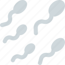 sperm, male, gamete, reproduction