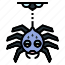 spider, black, spiders, animal, horror, insect, halloween, poison