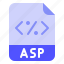 asp, extension, file, format, programmimg 