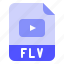 extension, file, flv, format, movie 