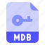 database, extension, file, format, mdb 
