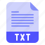 extension, file, format, text, txt 