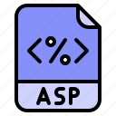 asp, extension, file, format, programmimg