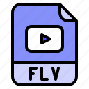 extension, file, flv, format, movie