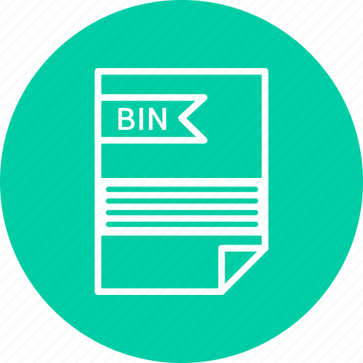 Bin, extensiom, file, file format icon - Download on Iconfinder