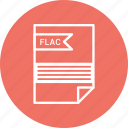 document, extension, file, flac, type
