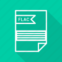 extension, file, file format, flac